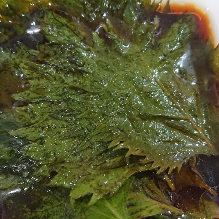 青じそ 大葉 の酢醤油漬け レシピ 作り方 By エドワード 楽天レシピ 青じそ 大葉 の酢醤油漬け レシピ 作り方 By エドワード 楽天レシピ